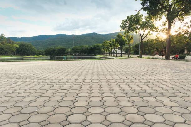 Best Decorative Driveway Pavers  in Rushford, MN