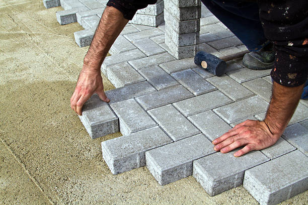 Best Driveway Pavers Near Me  in Rushford, MN
